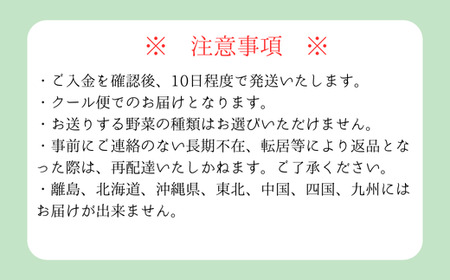 A-133【5品目以上】季節の野菜詰め合わせ