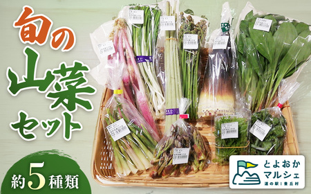 A-138 天然物!旬の山菜セット(5種類程度)<4月以降順次発送開始予定>【期間限定】【数量限定】