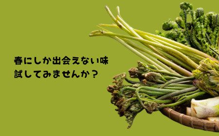 A-138 天然物!旬の山菜セット(5種類程度)<4月以降順次発送開始予定>【期間限定】【数量限定】
