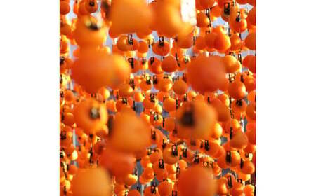 A-111　信州の特産品「市田柿」家庭用500ｇ×2袋セット＜2026年1月上旬～2月下旬発送＞