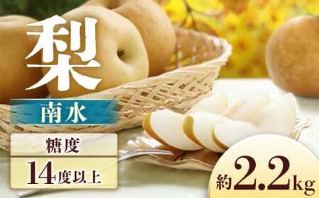【2026年発送先行予約】 梨　南水 約2.2㎏　※2026年9月中旬～発送予定※