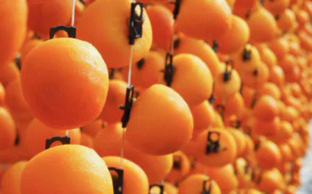 【2026年1月発送】農家直送！市田柿　家庭用1kg