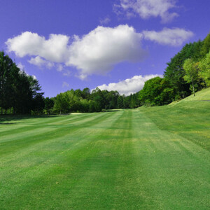 2026年版 御岳ゴルフ&リゾートホテル 宿泊&ゴルフに使える1泊2ラウンドプレー券1名様分 譲渡可【1264377】