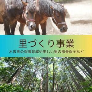 【返礼品なし】長野県木曽町応援寄附金(10,000円)