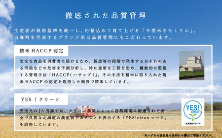 【令和6年産新米先行予約】米 11kg×5回 計55kg ブランド米 籾貯蔵今摺米きたくりん 10kg以上 50kg以上 北海道米 北海道【A-023】