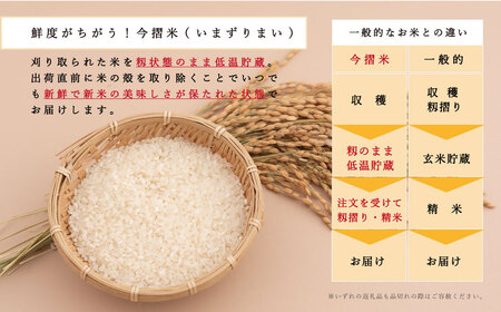 無洗米 5kg ブランド米 令和5年産 むせんまい 籾貯蔵今摺米 きたくりん 北海道米 北海道 定期便アリ 米【A-025】