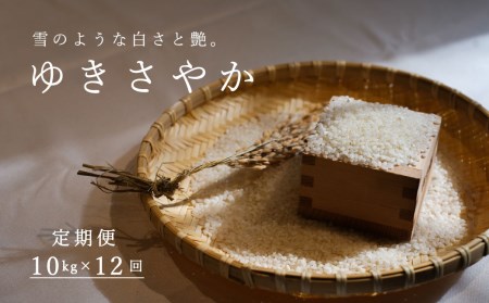 令和6年産】ゆきさやか 10kg×12回コース〈定期便〉精米 北海道当麻町
