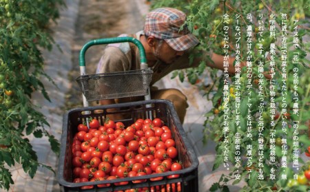 【2024年産予約受付】フルーツトマト トマト 甘い のんの畑北海道ミディトマト2kg  2kg 不耕起栽培 無化学農薬 無化学肥料 野菜 産地直送 北海道 当麻町 とまと おやつ【G-007】