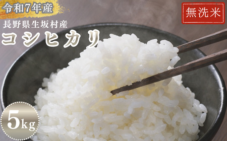白米 生坂村産コシヒカリ 無洗米 5kg 長野県産 | コシヒカリ
