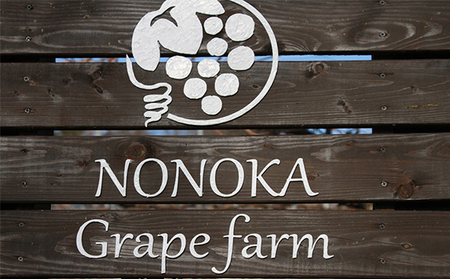 【2026年発送 先行予約】 家庭用 種あり巨峰3.8kg (9~13房) ぶどう 巨峰