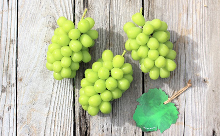 【2026年産】 訳ありシャインマスカット 約3.2kg（6~11房） シャインマスカット