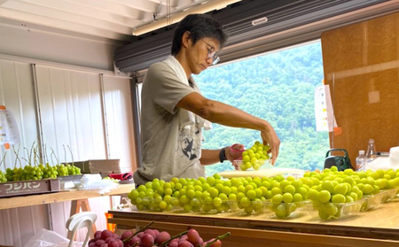 【2026年先行予約】まつもとぶどう園 シャインマスカット3~4房 約2kg シャインマスカット