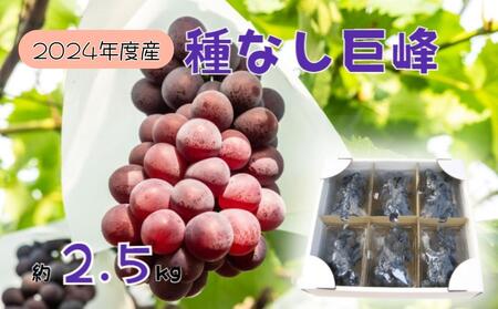 2024年産 訳あり 種なし巨峰バラ房・バラ粒パック約2.5kg