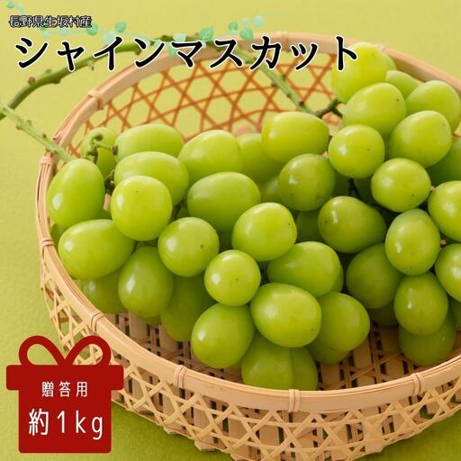 【2026年発送 先行予約】 贈答用 シャインマスカット約1kg(2房) シャインマスカット