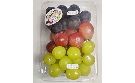 【2026年先行予約】ぶどう3種セット 約420g ぶどう