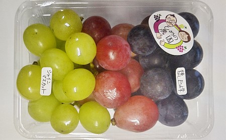 【2026年先行予約】ぶどう3種セット 約420g ぶどう