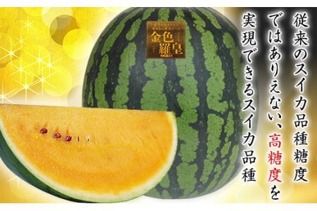 2205 大玉すいか「金色羅皇」(11kg以上ｘ1玉)【2025年8月発送予定】