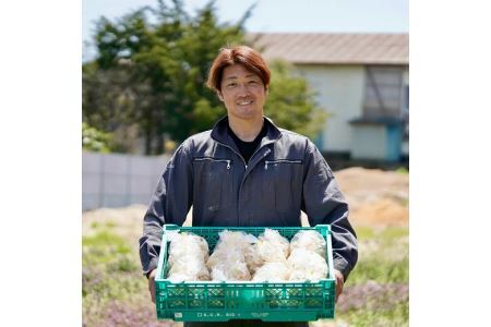 3701 長野県山形村産 白ヒラタケ「信州プルロット」