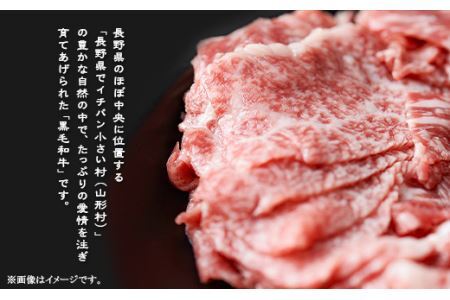 黒毛和牛 切落し 1kg（500g×2パック）長野県産 3606