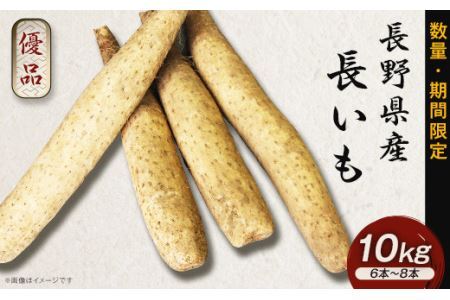 2302 長野県産 長いも 10kg（6本～8本）　優品