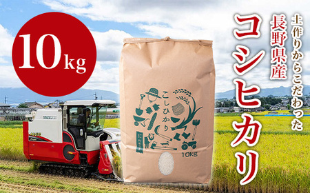 1411【3か月連続お届け】長野県産米コシヒカリ 10kg