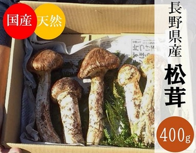 3001 国産 天然 長野県山形村産 マツタケ 約400g