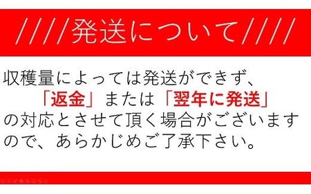 3001 国産 天然 長野県山形村産 マツタケ 約400g