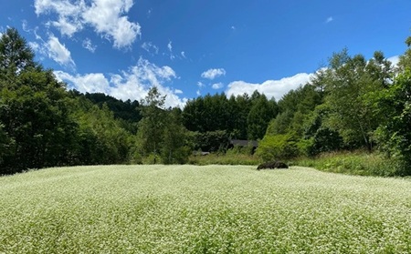 十割そば 乗鞍番所在来（のりくらばんどころざいらい） 乾麺 4袋セット 1415