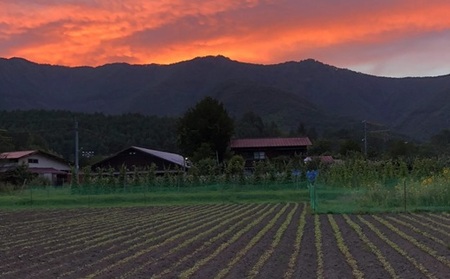 十割そば 乗鞍番所在来（のりくらばんどころざいらい） 乾麺 4袋セット 1415
