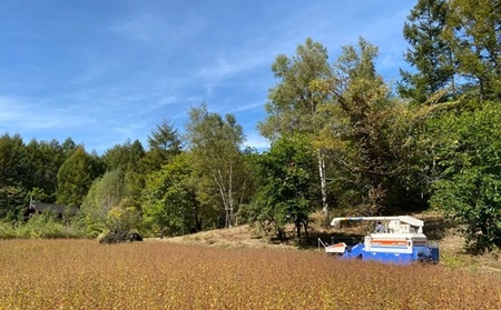 十割そば 乗鞍番所在来（のりくらばんどころざいらい） 乾麺 20袋セット 1416