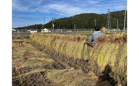 天日干し　特別栽培米　白米５kg