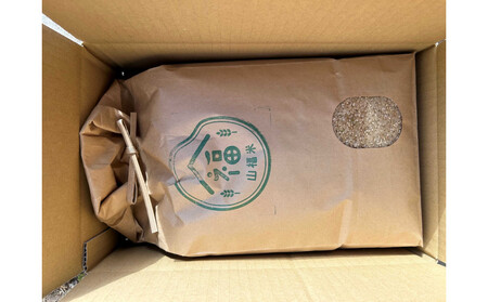 天日干し　特別栽培米　白米５kg