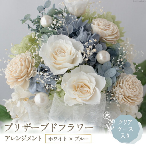 プリザーブドフラワー アレンジメント (L) ホワイト×ブルー 【ケース入り】 [mirccamircca 長野県 池田町 48110590]