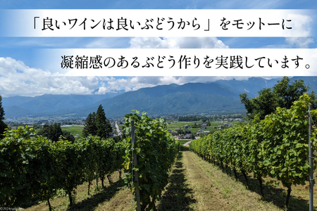 白 ワイン フェリーチェ ビアンコ 750ml [Poggio Verde（ポッジョ ヴェルデ） 長野県 池田町 48110669]