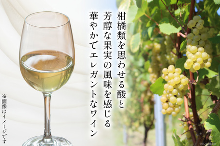 白 ワイン ジョイア シャルドネ 750ml 1本 [Poggio Verde（ポッジョ・ヴェルデ） 長野県 池田町 48110671]