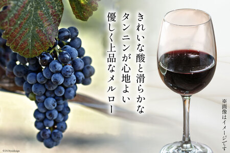 赤 ワイン ジョイア メルロー 750ml 4本 [Poggio Verde（ポッジョ ヴェルデ） 長野県 池田町 48110683]