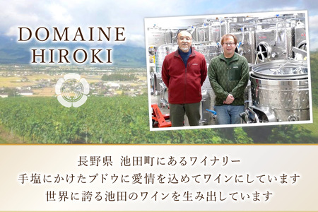 ワイン メルロー ロゼ 750ml 1本 [ヴィニョブル安曇野 長野県 池田町 48110728]