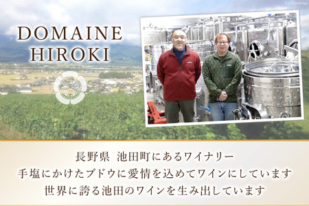 定期便 ワイン 赤白 6本 セット 各 750ml 3回 計 18本 [ヴィニョブル安曇野 長野県 池田町 48110766]