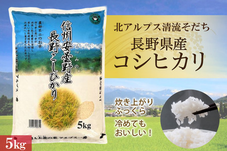 米 令和7年 長野県産 コシヒカリ 5kg（精米） [大北農業協同組合 長野県 池田町 48110835] 