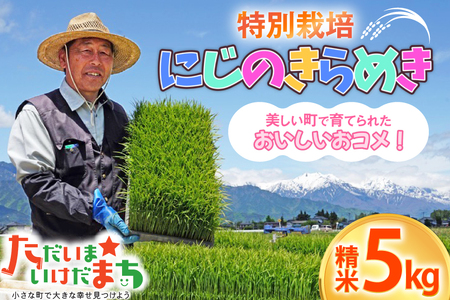 米 令和7年産 特別栽培 にじのきらめき 5kg [有限会社 咲耶 長野県 池田町 48110832] 
