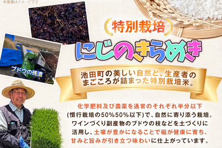 米 令和7年産 特別栽培 にじのきらめき 5kg [有限会社 咲耶 長野県 池田町 48110832] 