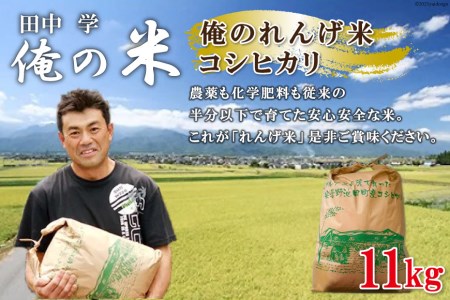 米 令和7年 俺のれんげ米 コシヒカリ 11kg [田中学 長野県 池田町 48110685]