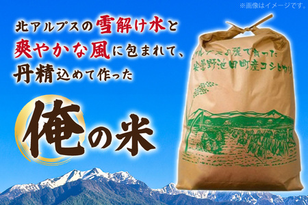 【俺の米】米 令和7年 コシヒカリ 精米 11kg [薄井 大地 長野県 池田町 48110784]