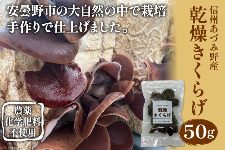 信州あづみ野産 乾燥きくらげ 50g [安曇野ベジタブル 長野県 池田町 48110474]