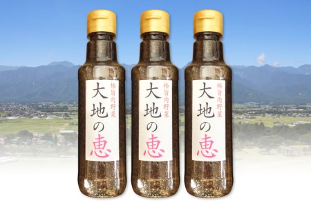 にんにくドレッシング 「大地の恵」 甘口 200ml×3本 [矢口農園 長野県 池田町 48110485]
