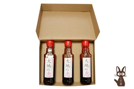 にんにくドレッシング 「大地の恵」 中辛 200ml×3本 [矢口農園 長野県 池田町 48110488]