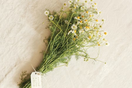 華密恋 国産 カモミールの薬用入浴剤 400mLと50mL×1包［9日分］ [長野県 池田町 48110775]