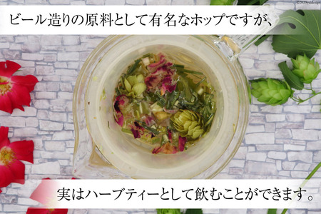 信州産ホップ ハーブティー 2種セット 約35杯分 リーフタイプ [ナチュラルマルシェ ソヨソヨ 長野県 池田町 48110506]