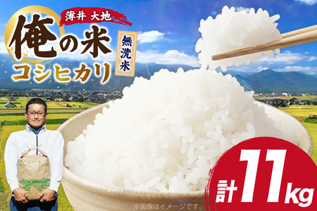【俺の米】米 令和7年 コシヒカリ 無洗米 11kg [薄井 大地 長野県 池田町 48110782]
