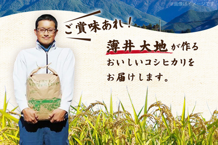 【俺の米】米 令和7年 コシヒカリ 無洗米 11kg [薄井 大地 長野県 池田町 48110782]
